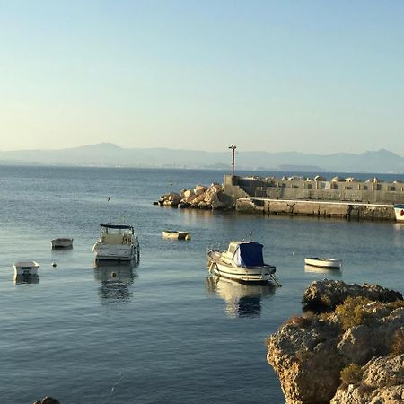 Homely Apartments Playa De Los Locos Торевиеха Екстериор снимка