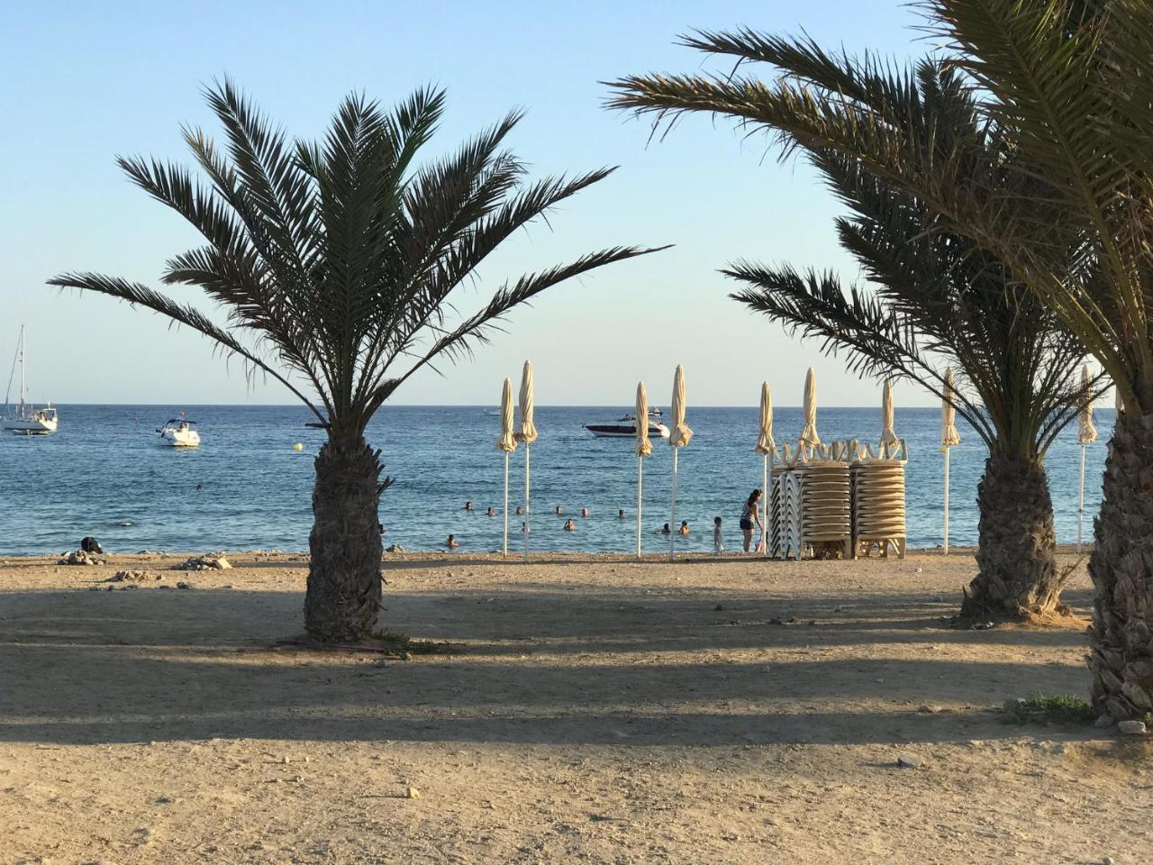Homely Apartments Playa De Los Locos Торевиеха Екстериор снимка