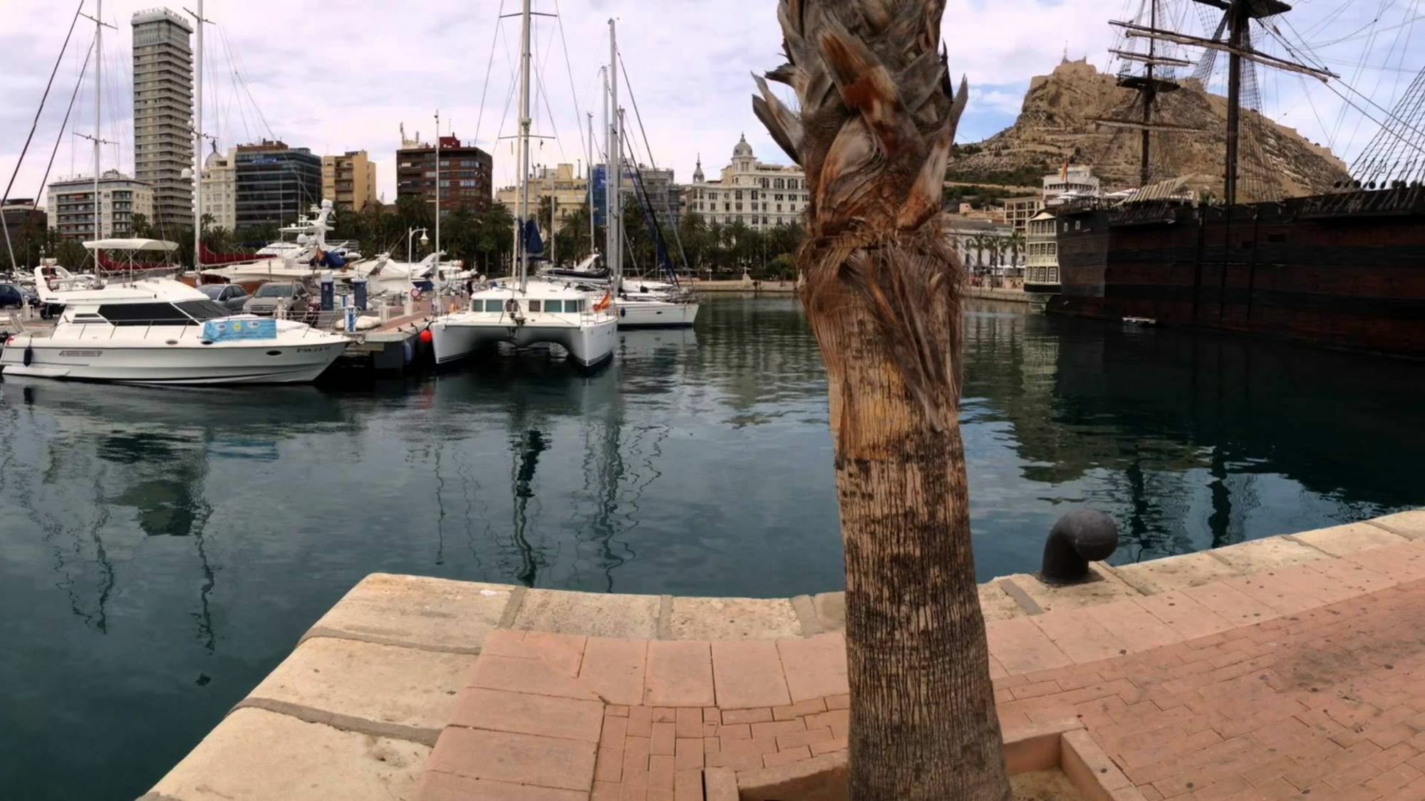 Homely Apartments Playa De Los Locos Торевиеха Екстериор снимка